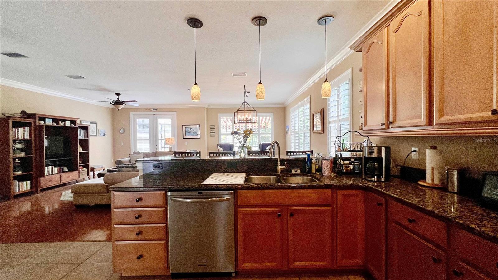 1266 RIBOLLA DR, PALM HARBOR, FL, 34683