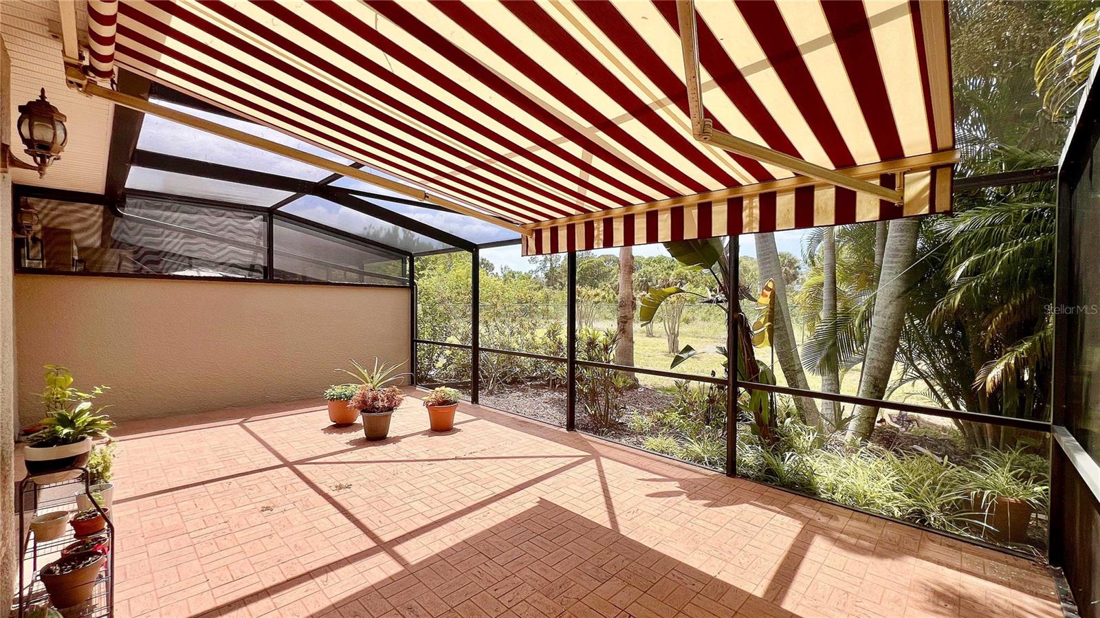 1266 RIBOLLA DR, PALM HARBOR, FL, 34683