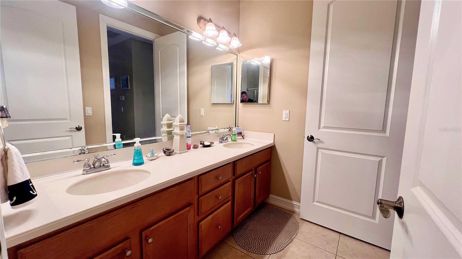 1266 RIBOLLA DR, PALM HARBOR, FL, 34683