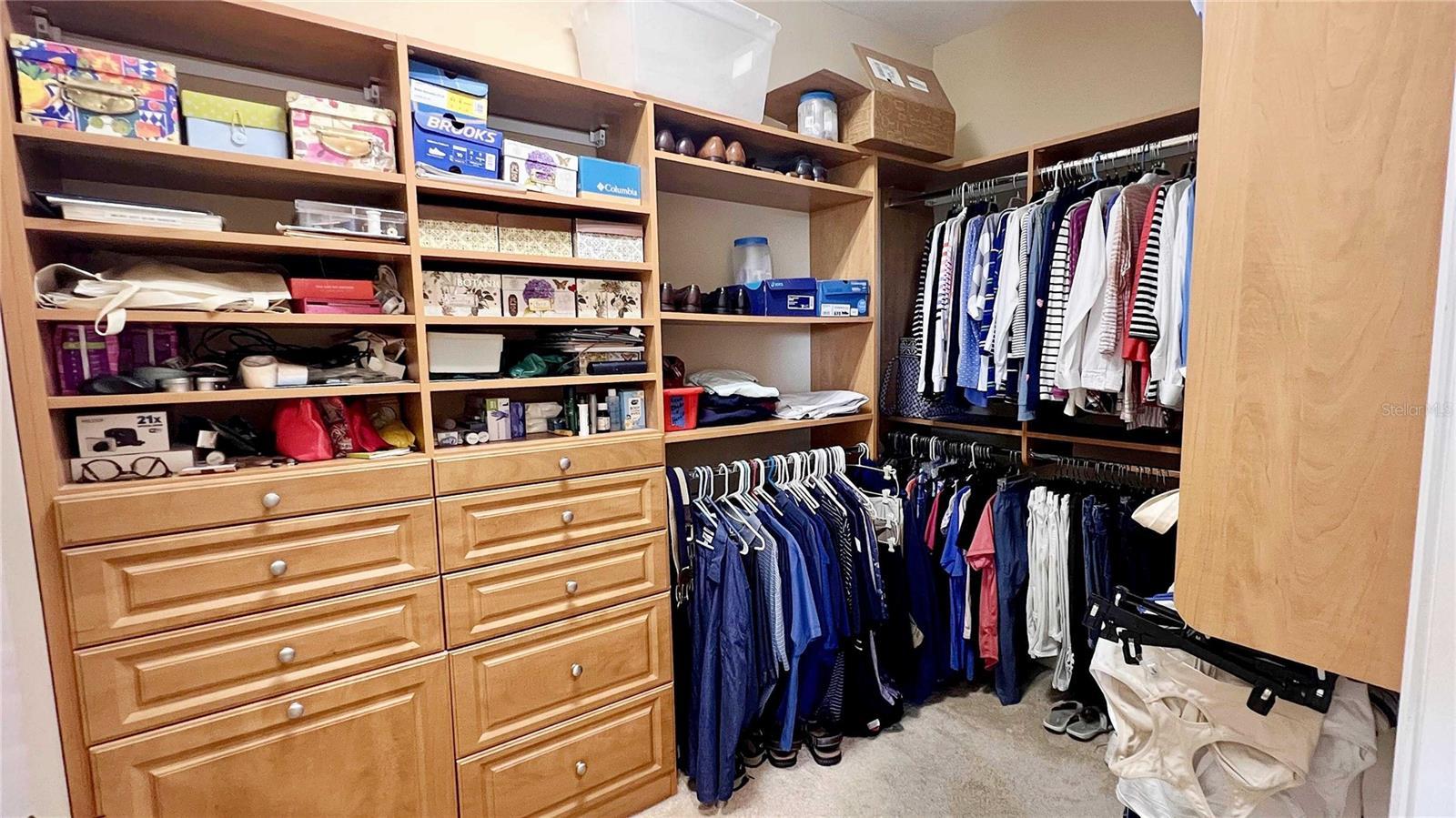 1266 RIBOLLA DR, PALM HARBOR, FL, 34683