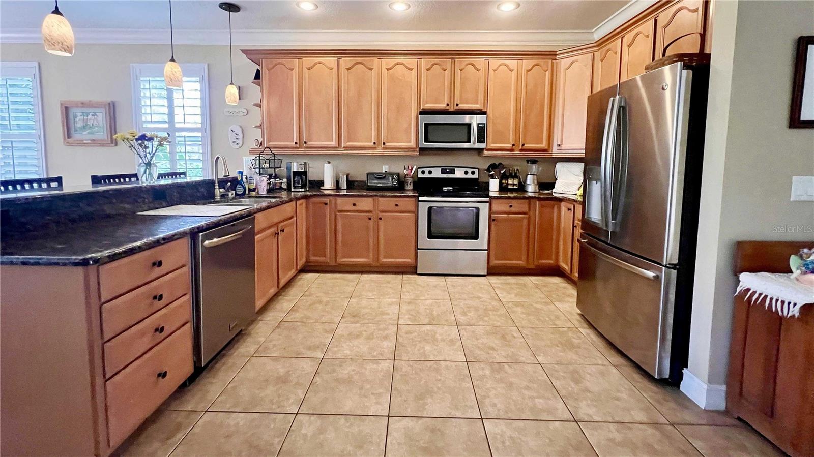 1266 RIBOLLA DR, PALM HARBOR, FL, 34683