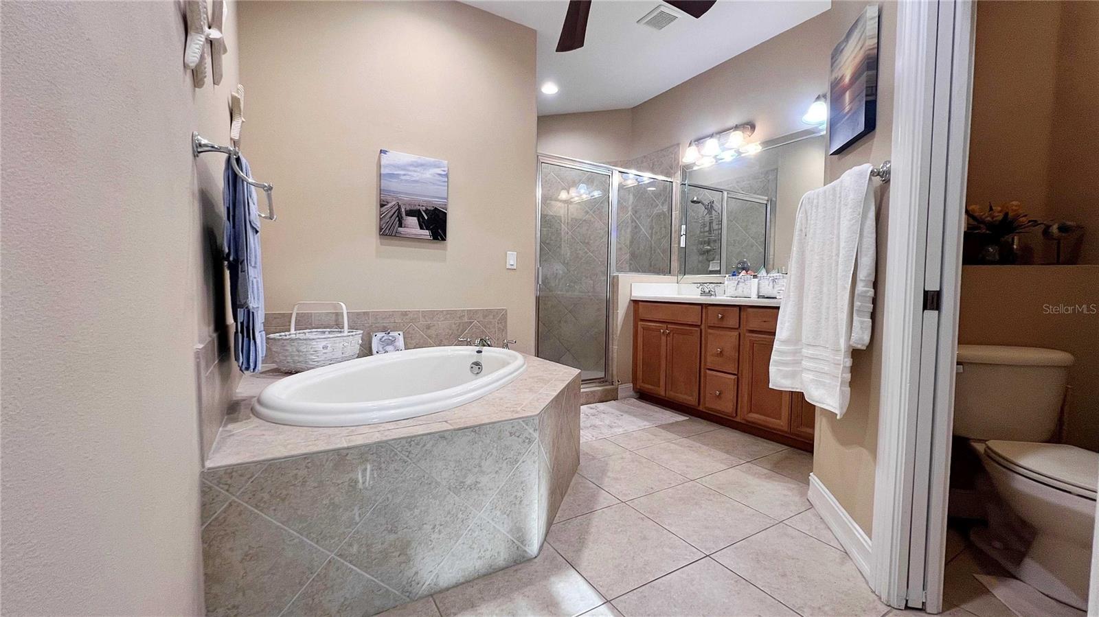 1266 RIBOLLA DR, PALM HARBOR, FL, 34683