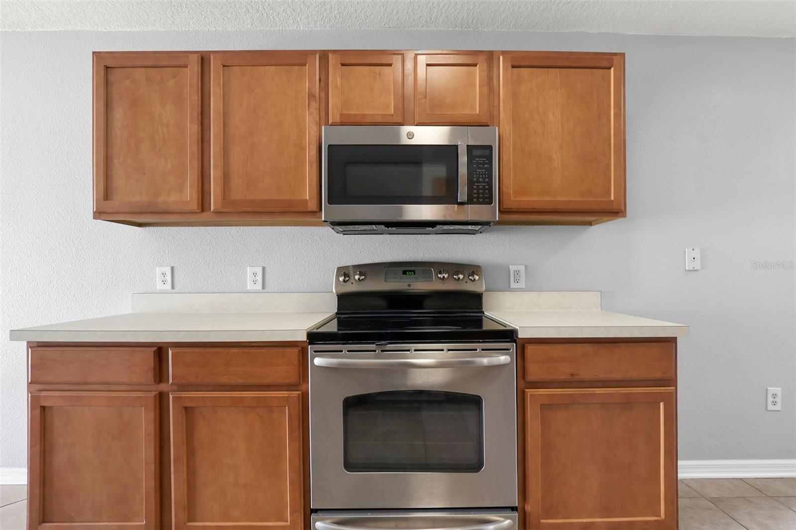 3250 HELMEL CT, LAND O LAKES, FL, 34638