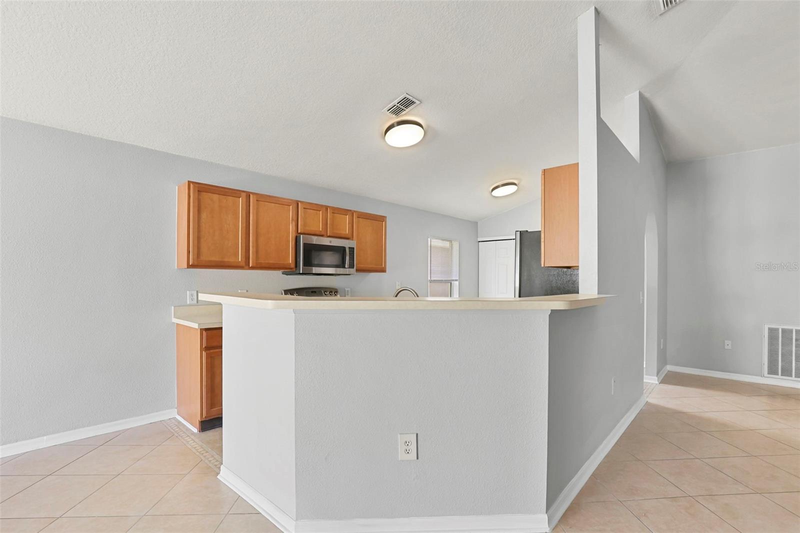 3250 HELMEL CT, LAND O LAKES, FL, 34638