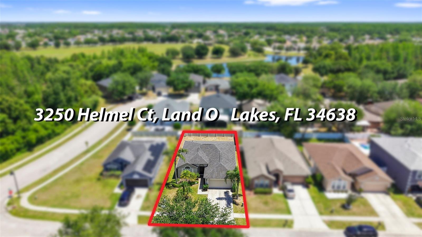 3250 HELMEL CT, LAND O LAKES, FL, 34638