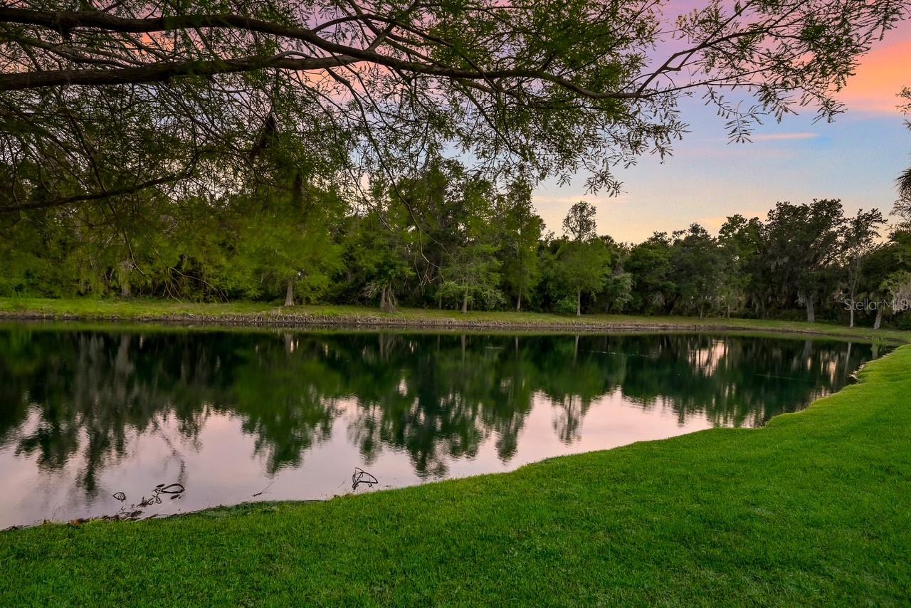 12107 CREOLE CT, PARRISH, FL, 34219