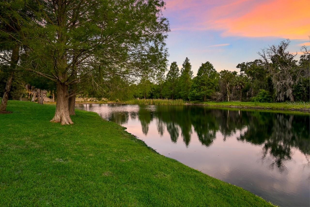 12107 CREOLE CT, PARRISH, FL, 34219