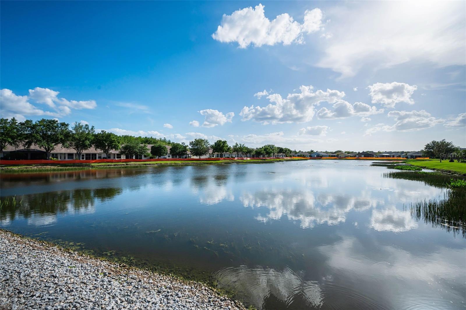 1933 ARBOR KNOLL LOOP, TRINITY, FL, 34655