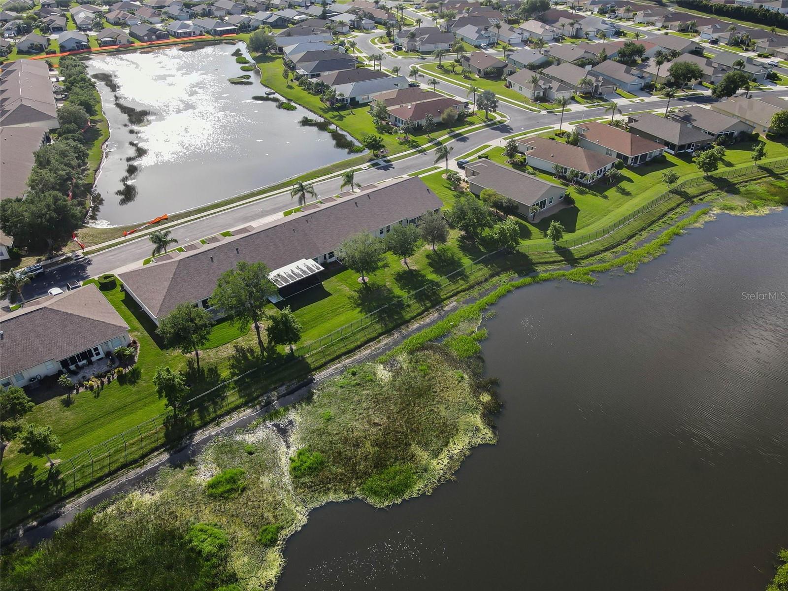 1933 ARBOR KNOLL LOOP, TRINITY, FL, 34655