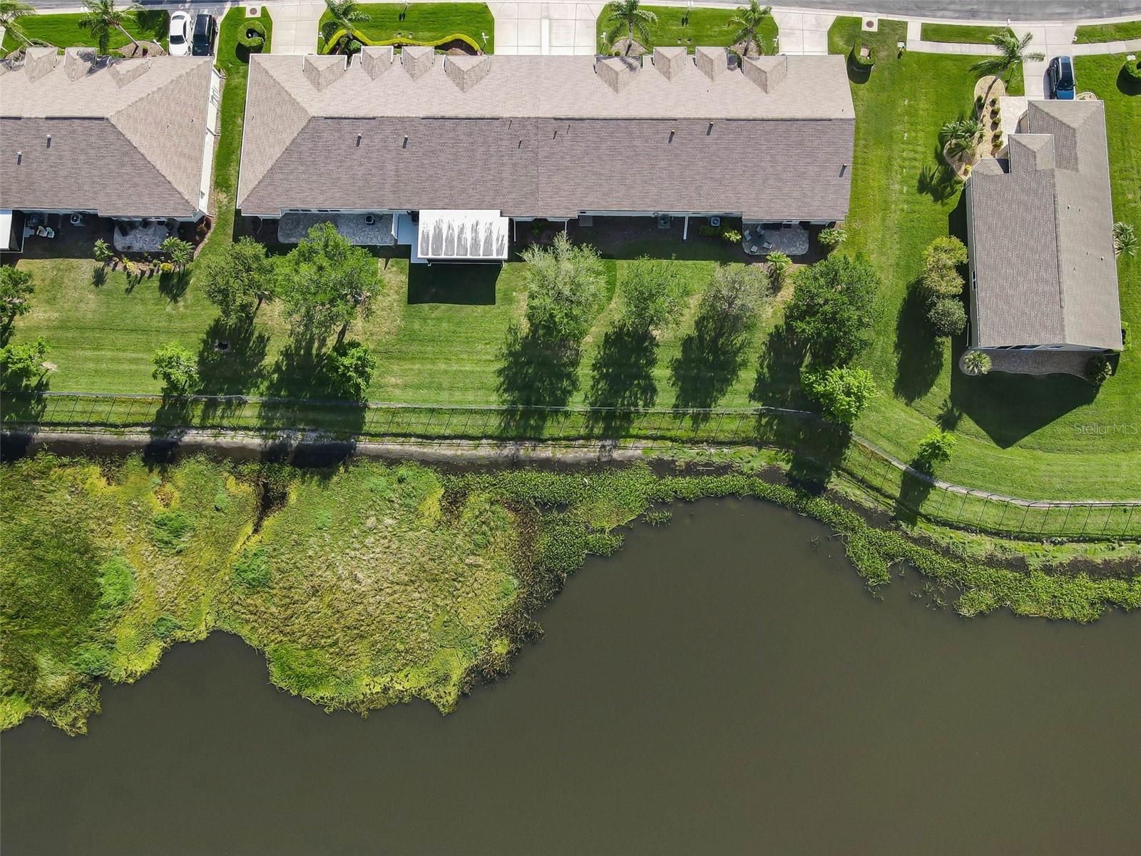 1933 ARBOR KNOLL LOOP, TRINITY, FL, 34655