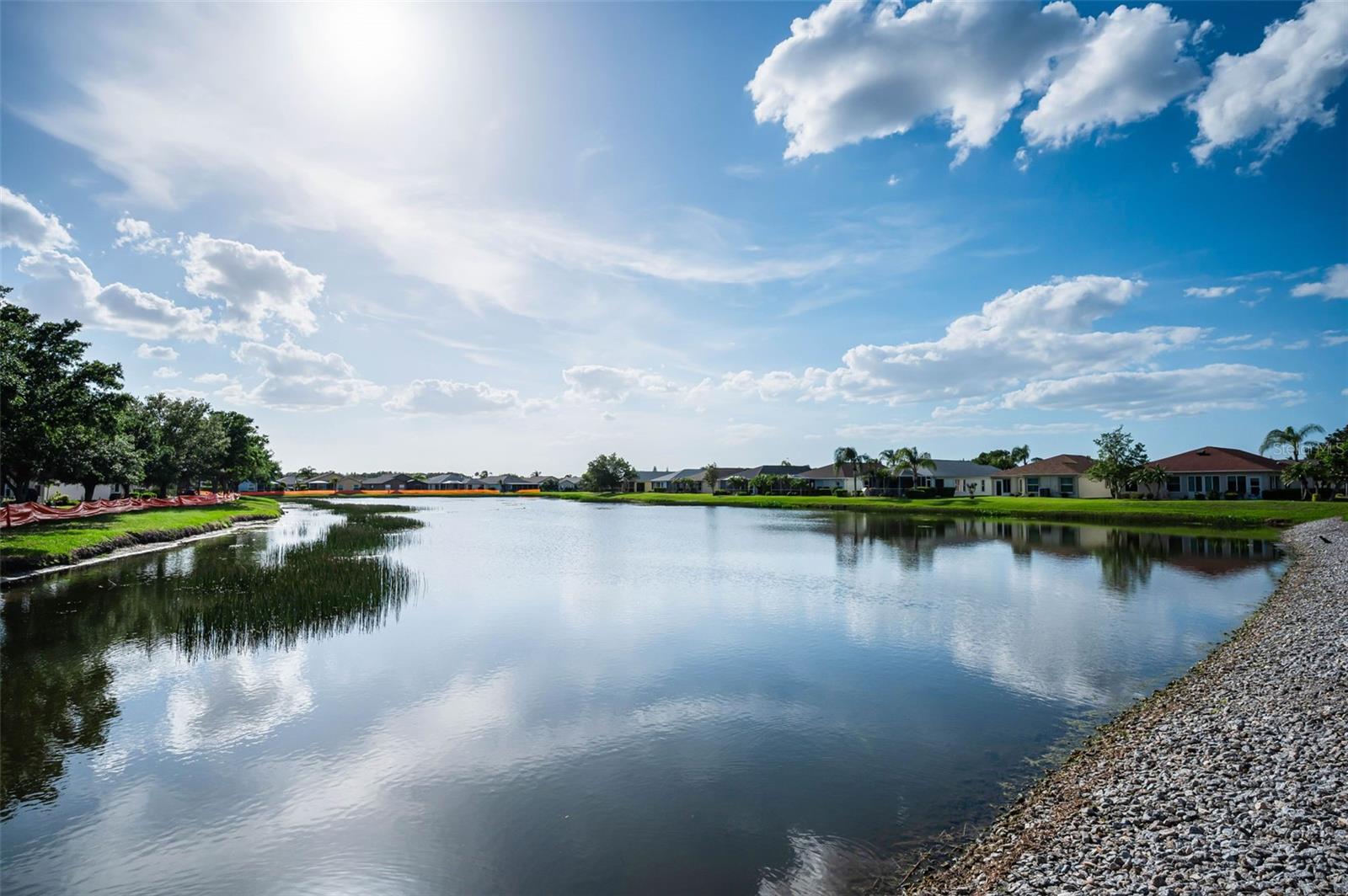 1933 ARBOR KNOLL LOOP, TRINITY, FL, 34655