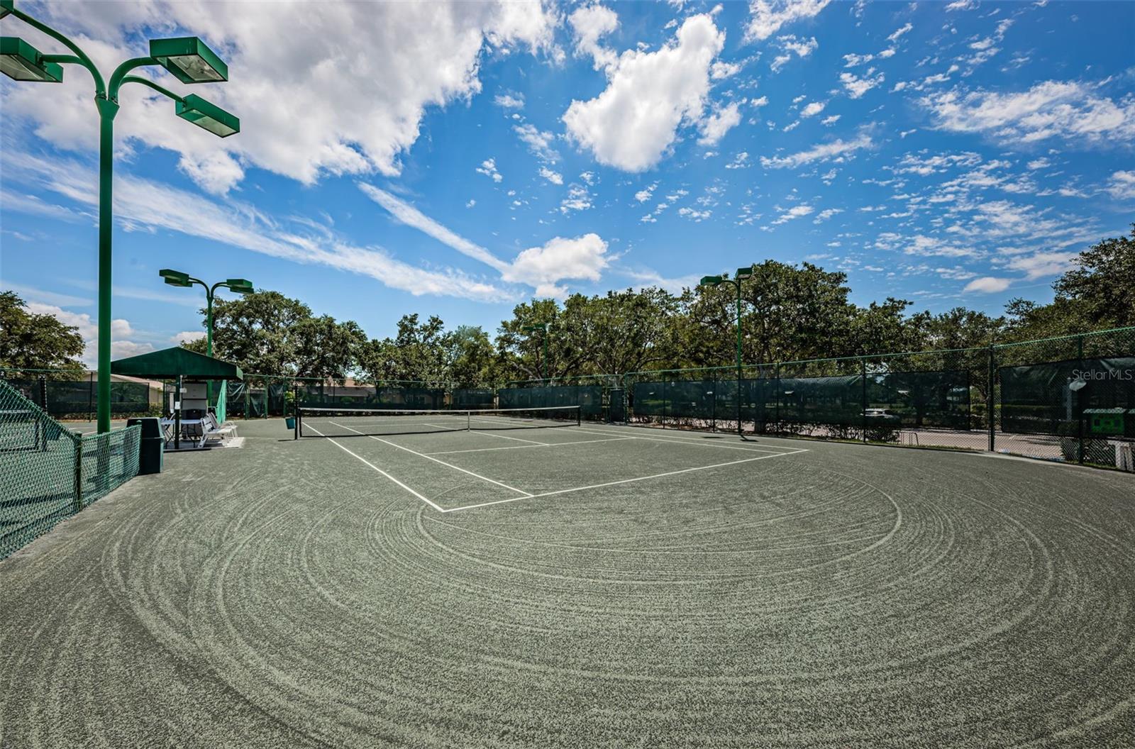 1933 ARBOR KNOLL LOOP, TRINITY, FL, 34655