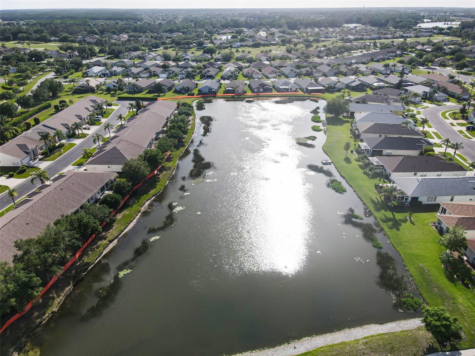 1933 ARBOR KNOLL LOOP, TRINITY, FL, 34655