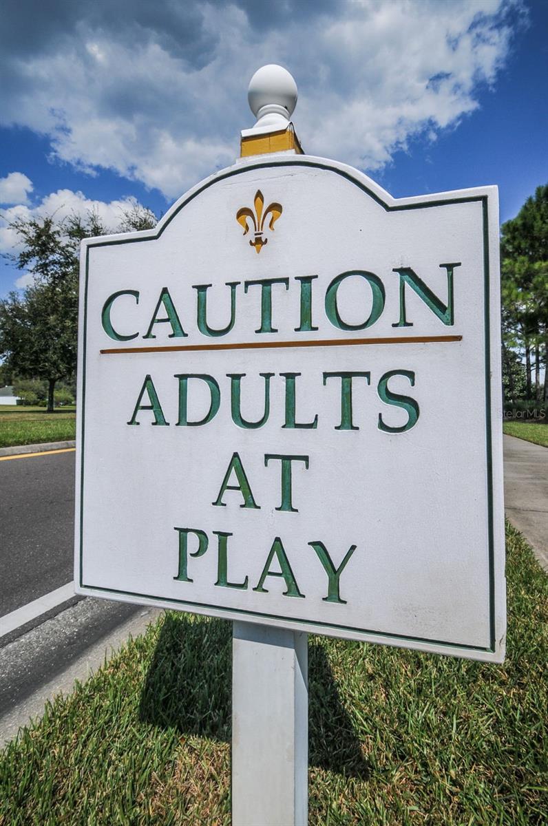 1933 ARBOR KNOLL LOOP, TRINITY, FL, 34655