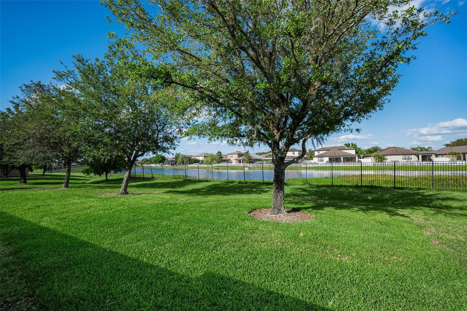 1933 ARBOR KNOLL LOOP, TRINITY, FL, 34655