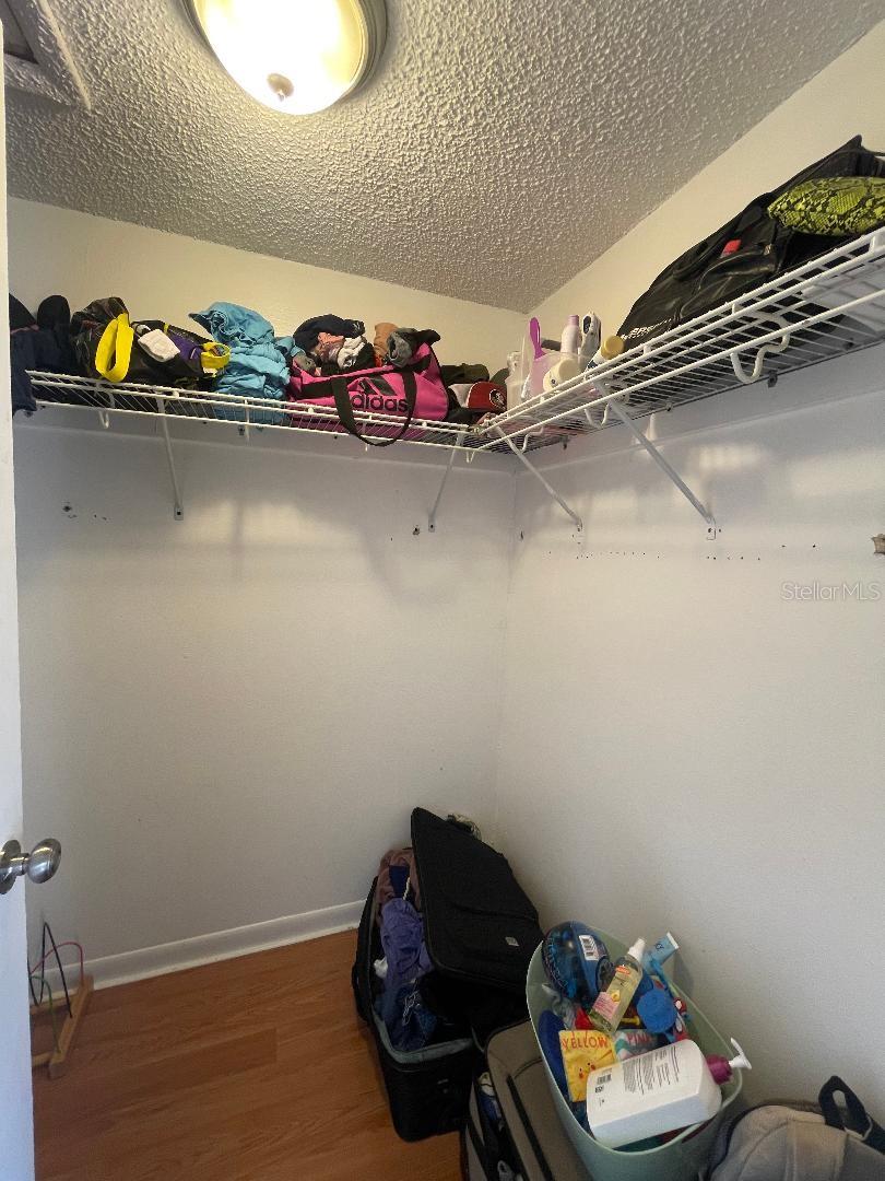 4967 STEEL DUST LN, LUTZ, FL, 33559