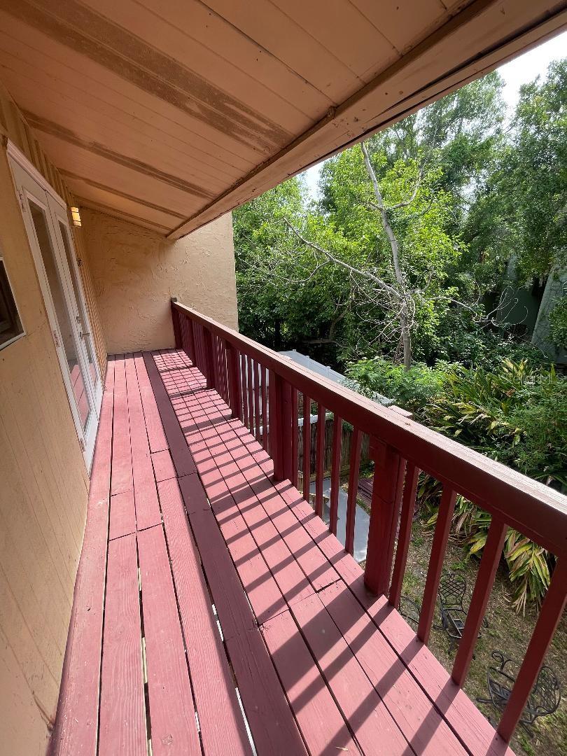 4967 STEEL DUST LN, LUTZ, FL, 33559