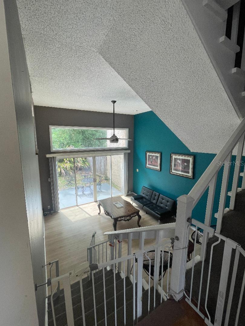 4967 STEEL DUST LN, LUTZ, FL, 33559