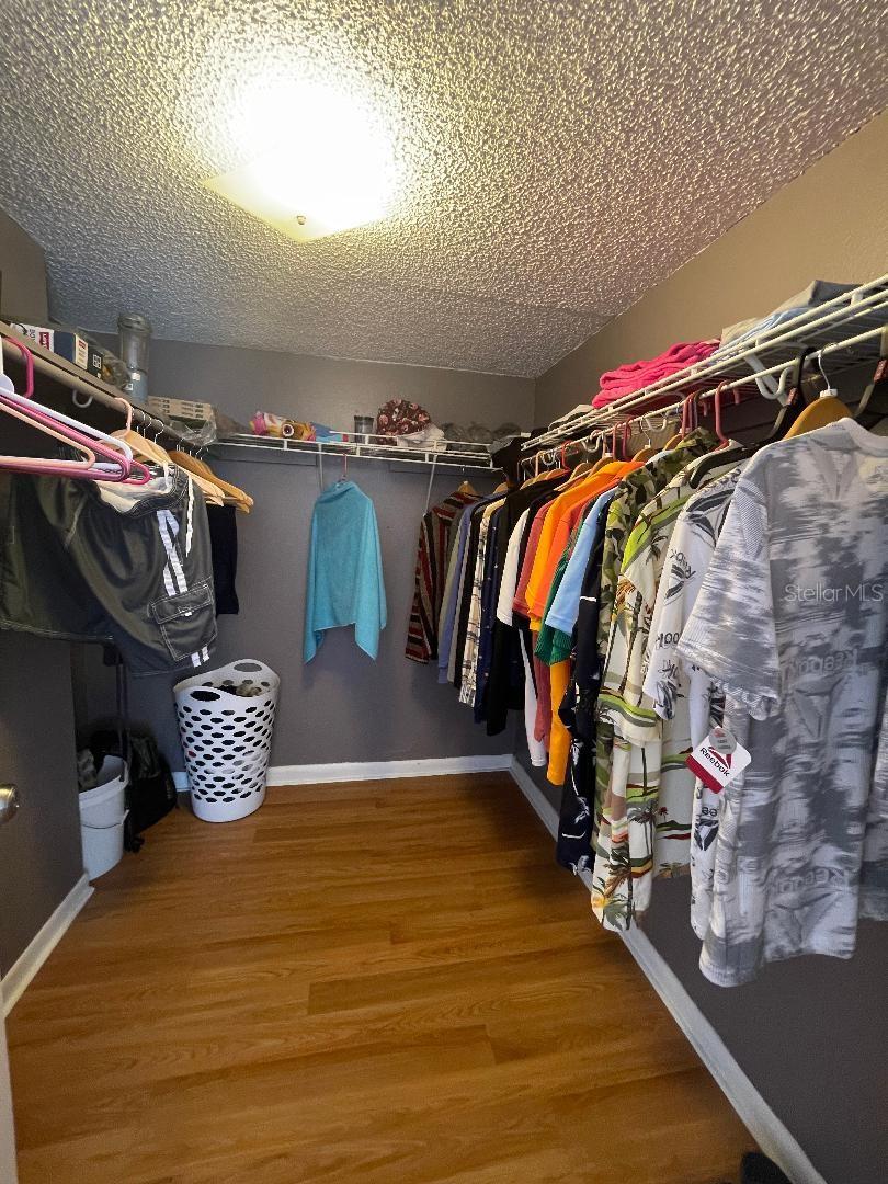 4967 STEEL DUST LN, LUTZ, FL, 33559