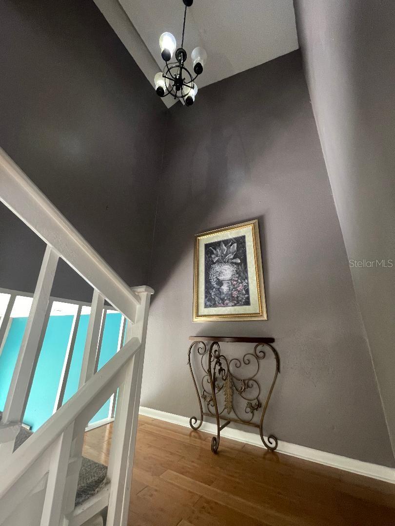 4967 STEEL DUST LN, LUTZ, FL, 33559