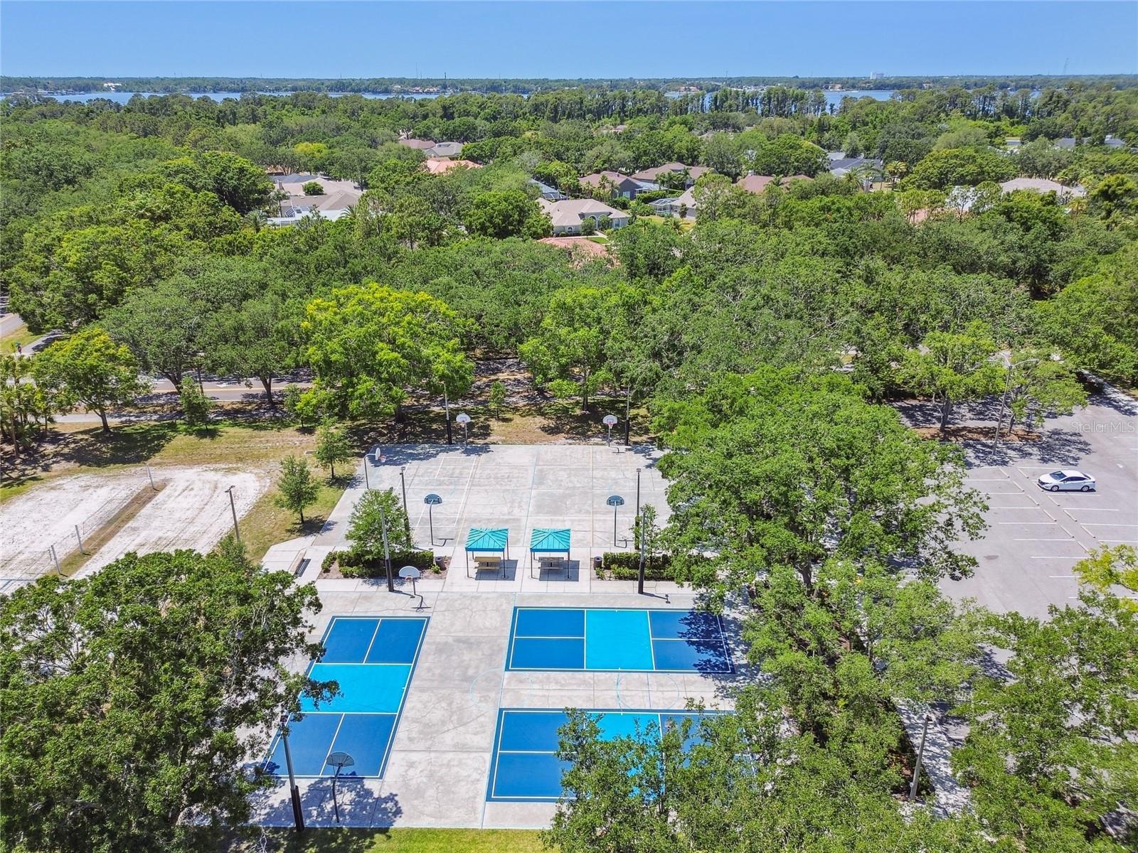 4227 AUSTON WAY, PALM HARBOR, FL, 34685