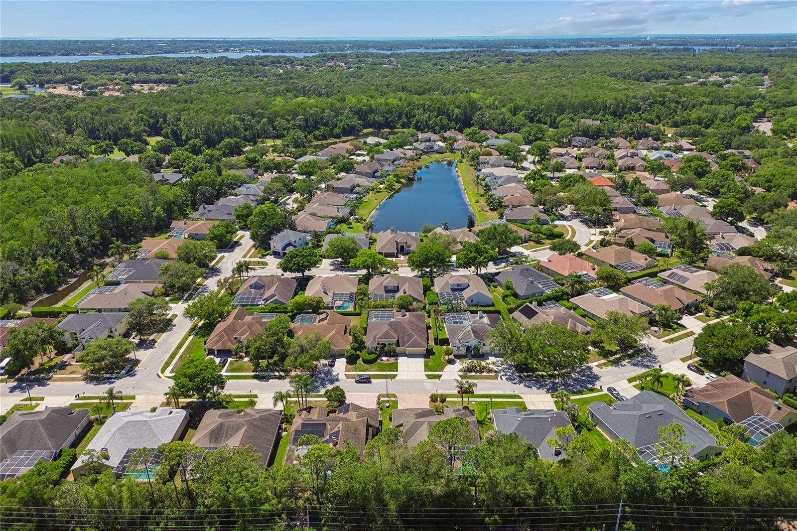 4227 AUSTON WAY, PALM HARBOR, FL, 34685