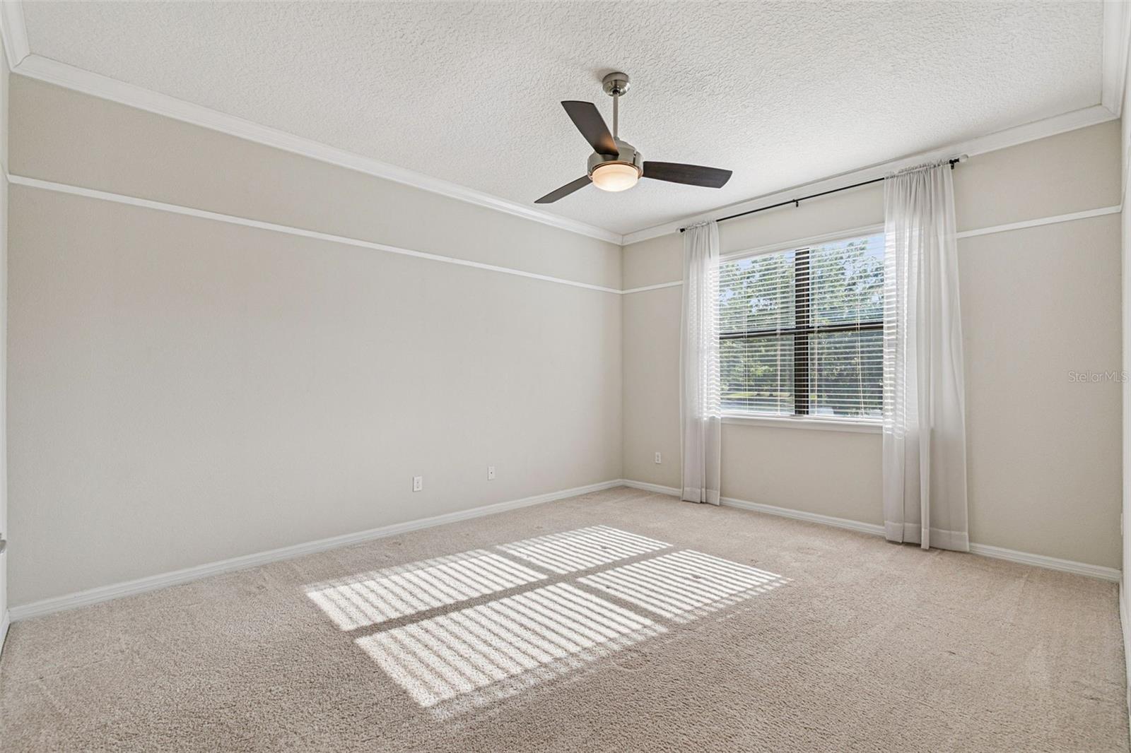 7137 BEEK ST, WINDERMERE, FL, 34786