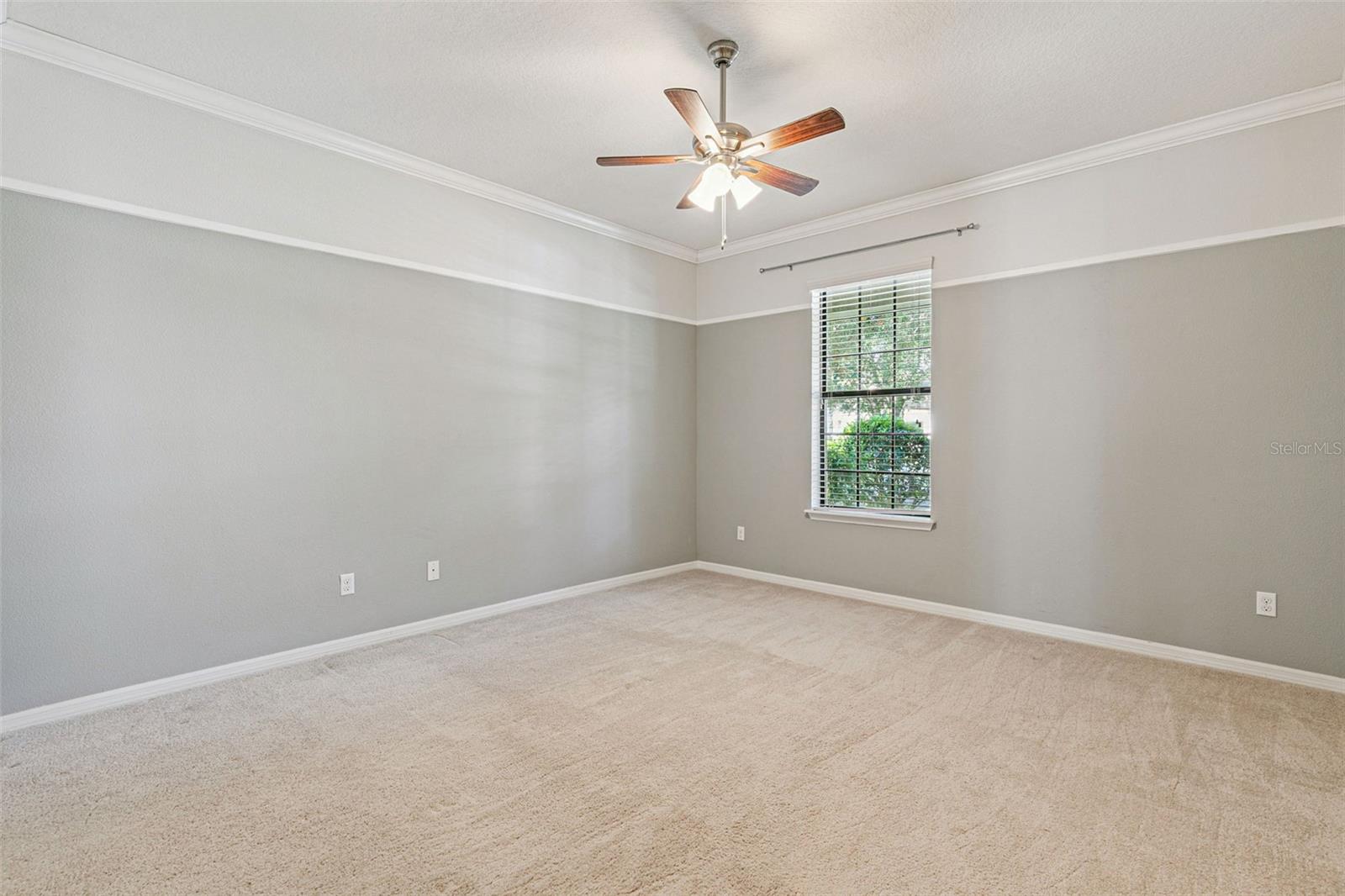 7137 BEEK ST, WINDERMERE, FL, 34786