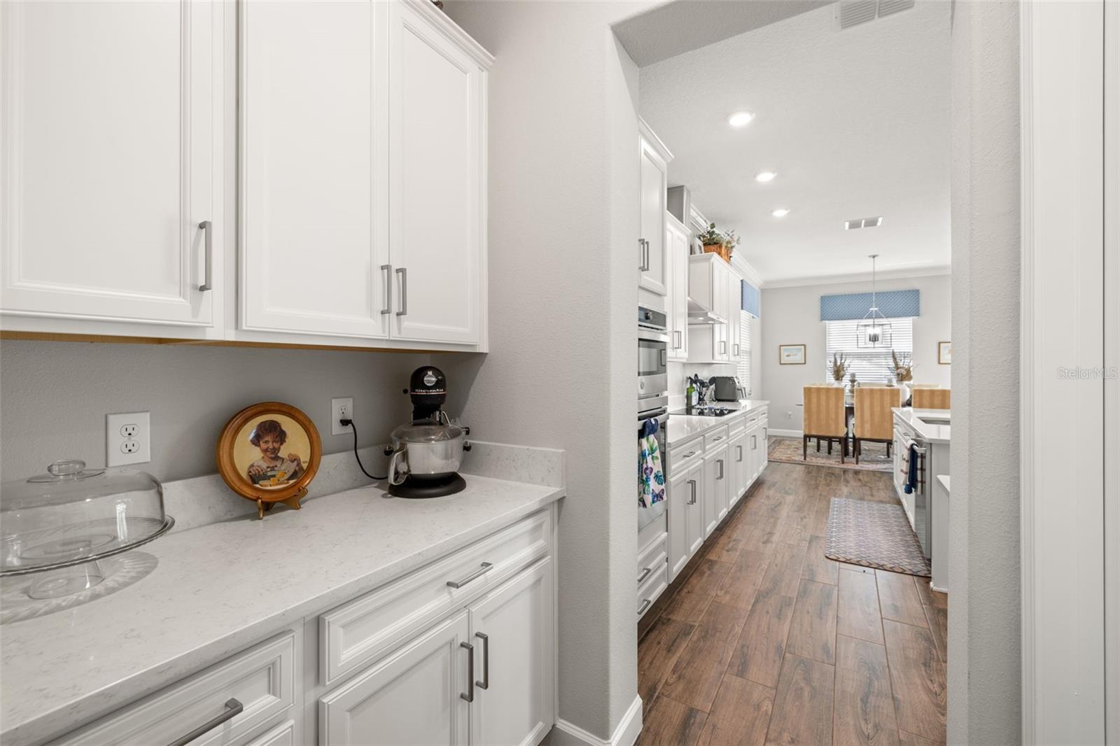 16938 SCUBA CREST ST, WIMAUMA, FL, 33598