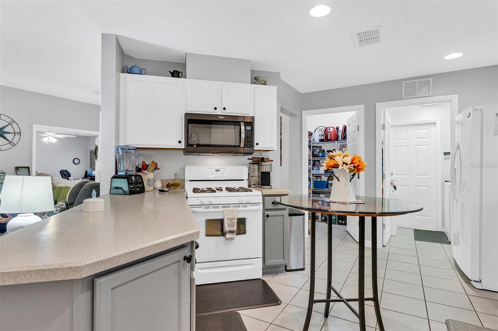 4401 POPLAR GROVE CT, LEESBURG, FL, 34748