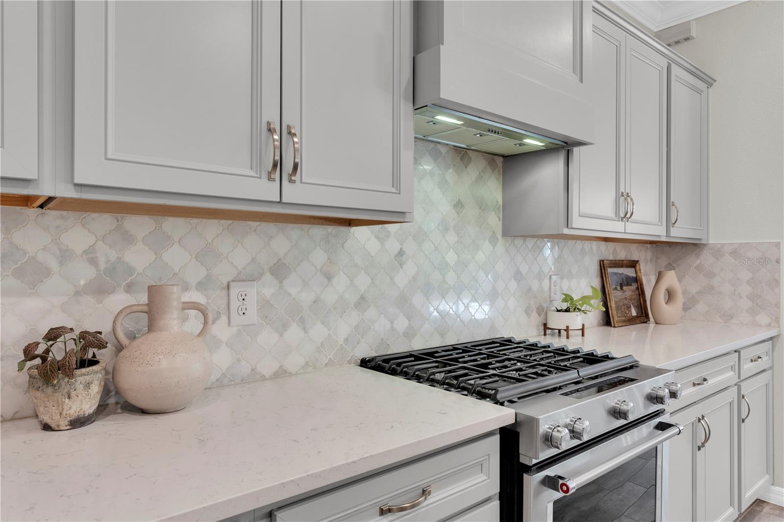 2587 MURRAY PASS, ODESSA, FL, 33556