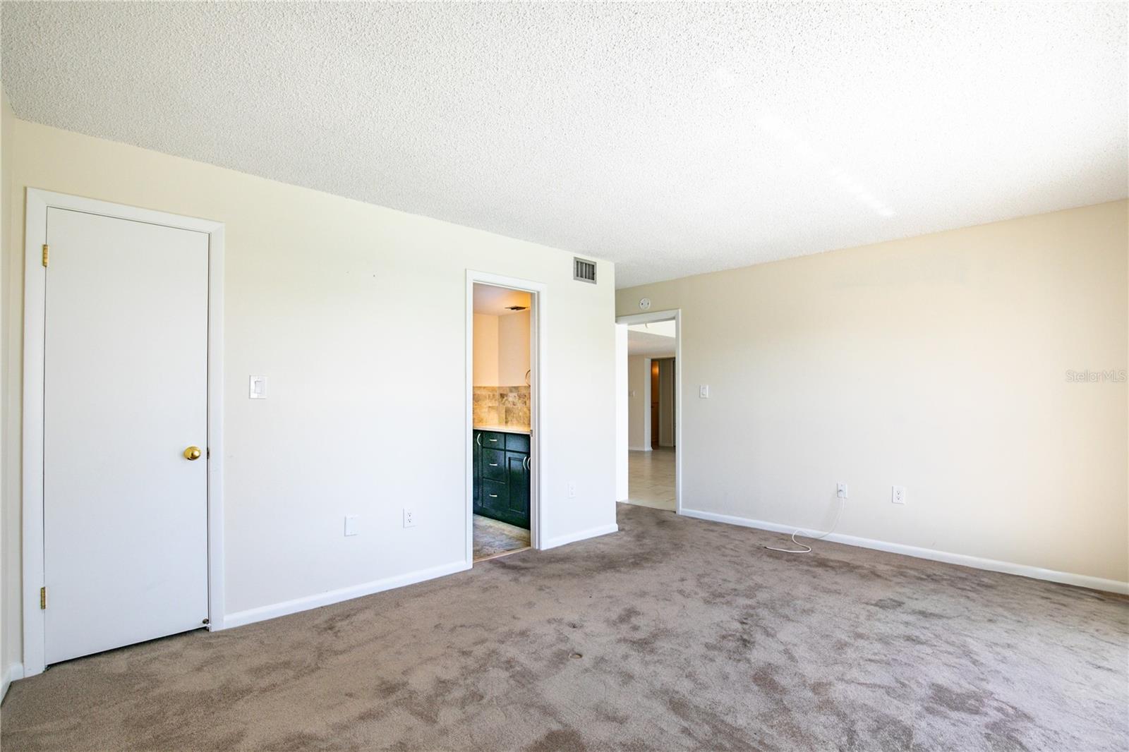 601 MCDONALD STREET #105, MOUNT DORA, FL, 32757