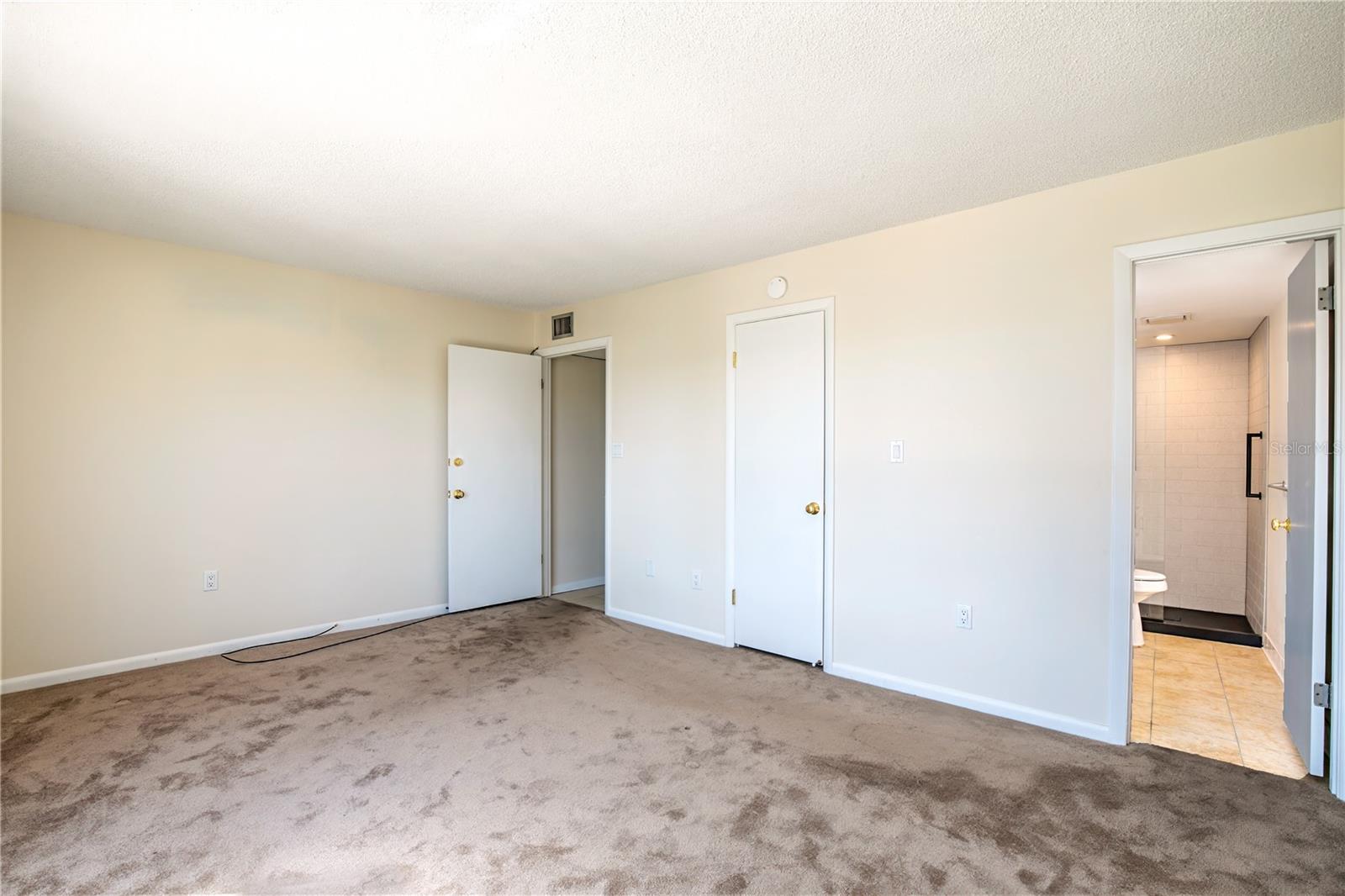 601 MCDONALD STREET #105, MOUNT DORA, FL, 32757