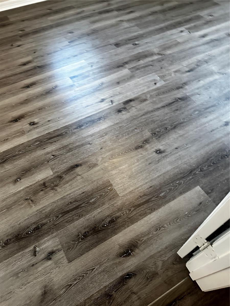 7308 OLYMPIA CT #7308, LONGWOOD, FL, 32779