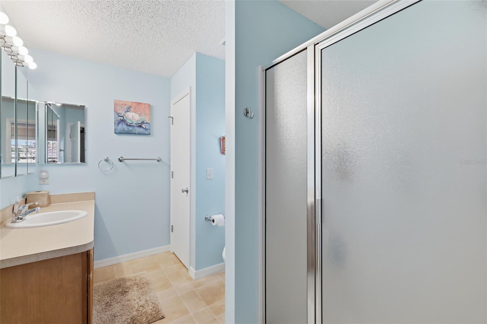 1609 BLOSSOM TER, THE VILLAGES, FL, 32162