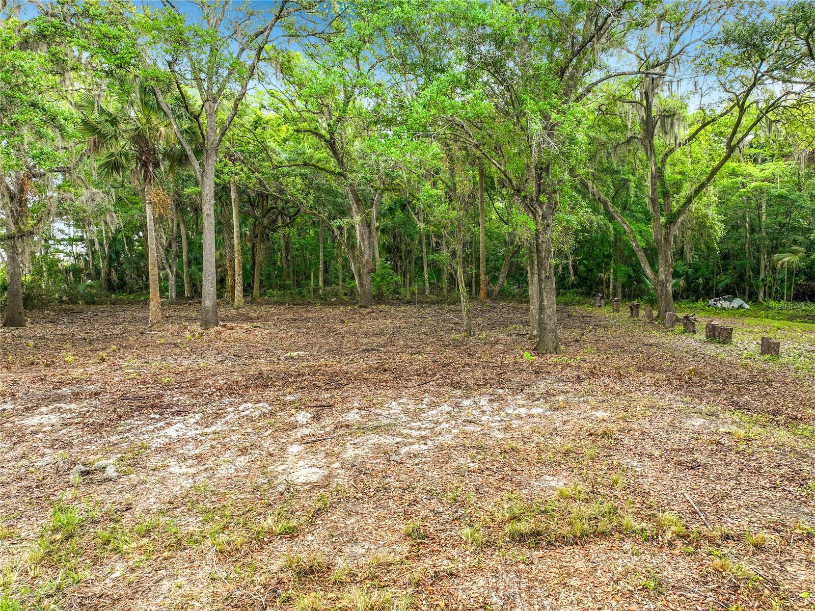 4011 S MELLONVILLE AVE, SANFORD, FL, 32773