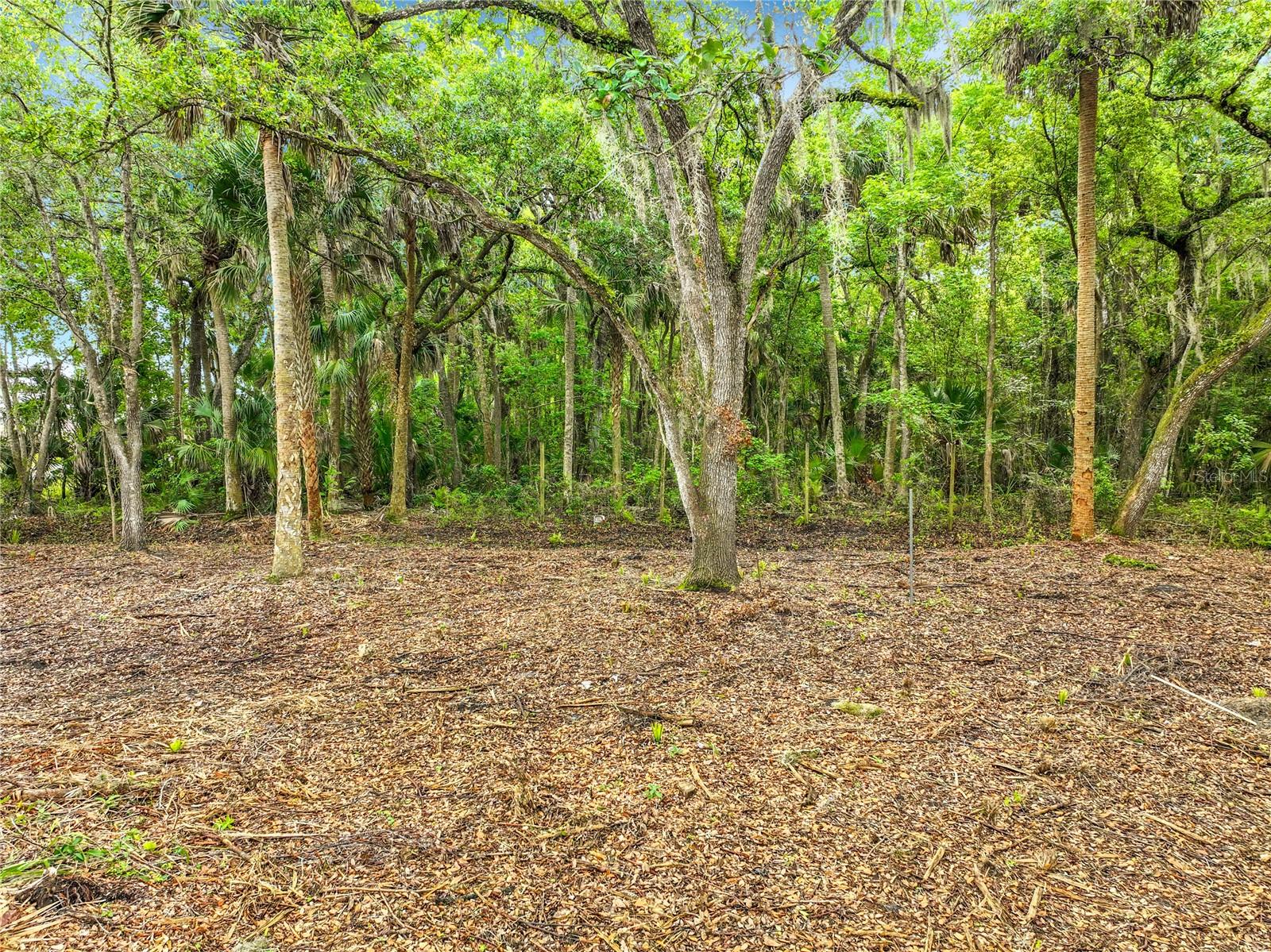 4011 S MELLONVILLE AVE, SANFORD, FL, 32773