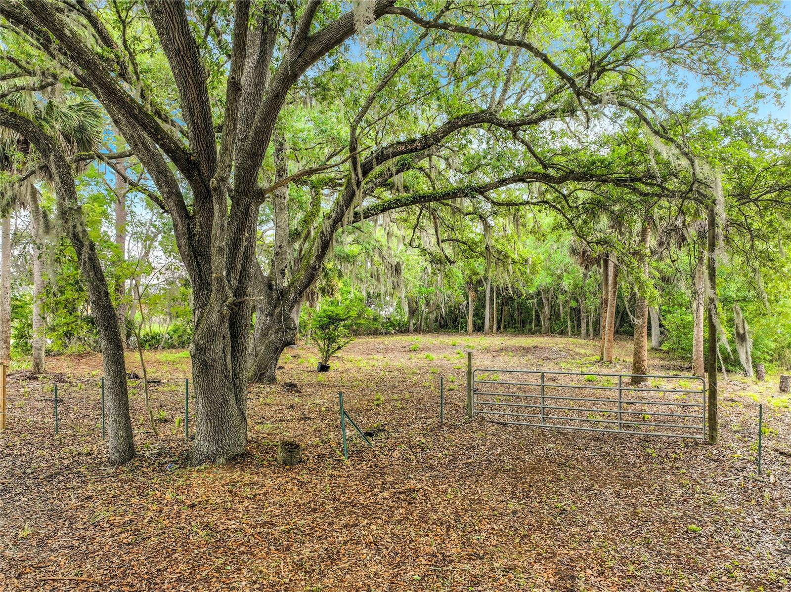 4011 S MELLONVILLE AVE, SANFORD, FL, 32773