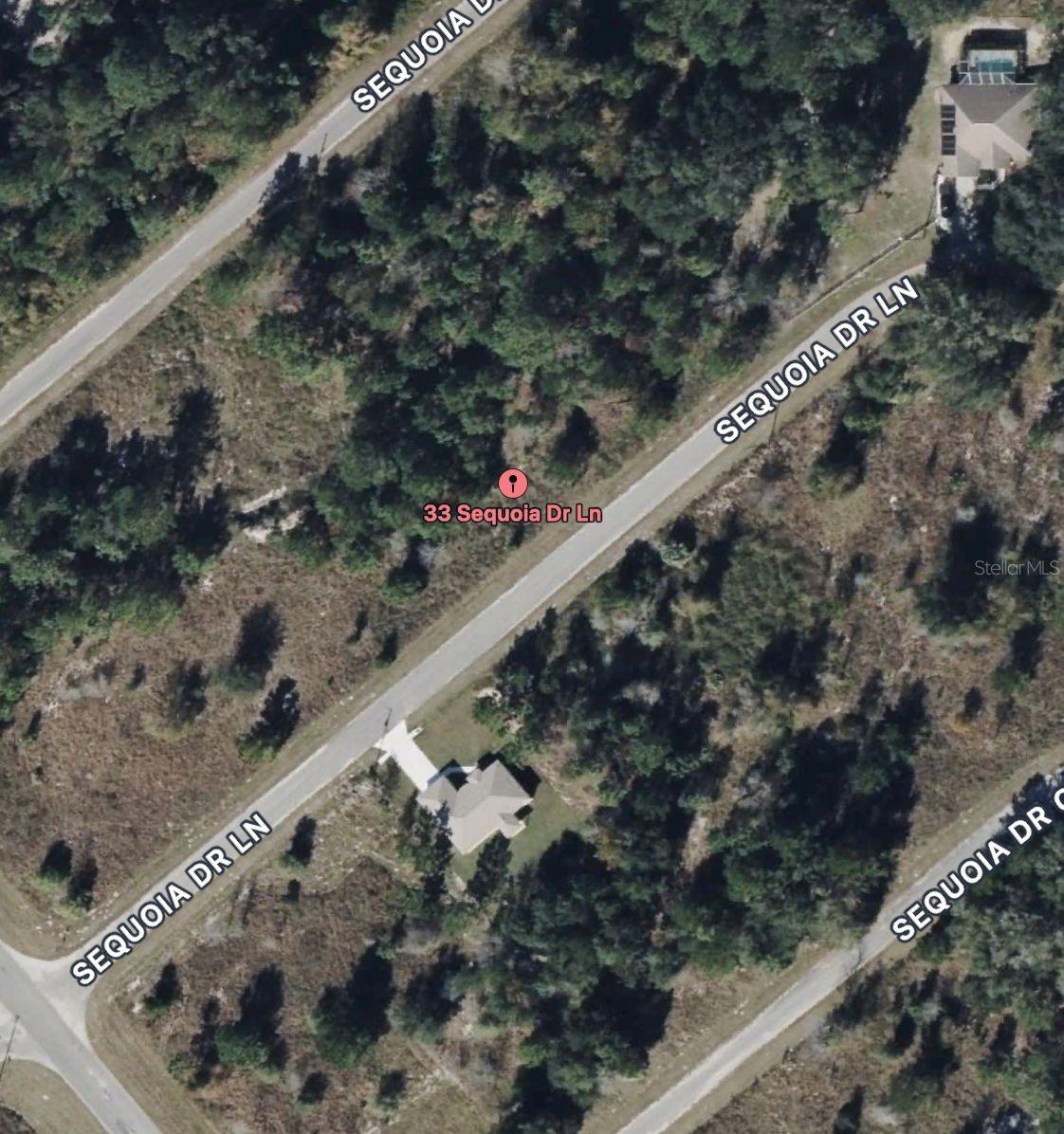 33 SEQUOIA DRIVE LN, OCKLAWAHA, FL, 32179