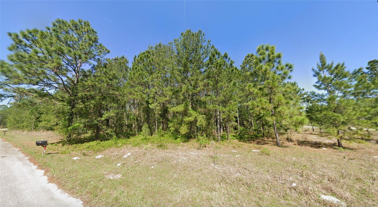 33 SEQUOIA DRIVE LN, OCKLAWAHA, FL, 32179