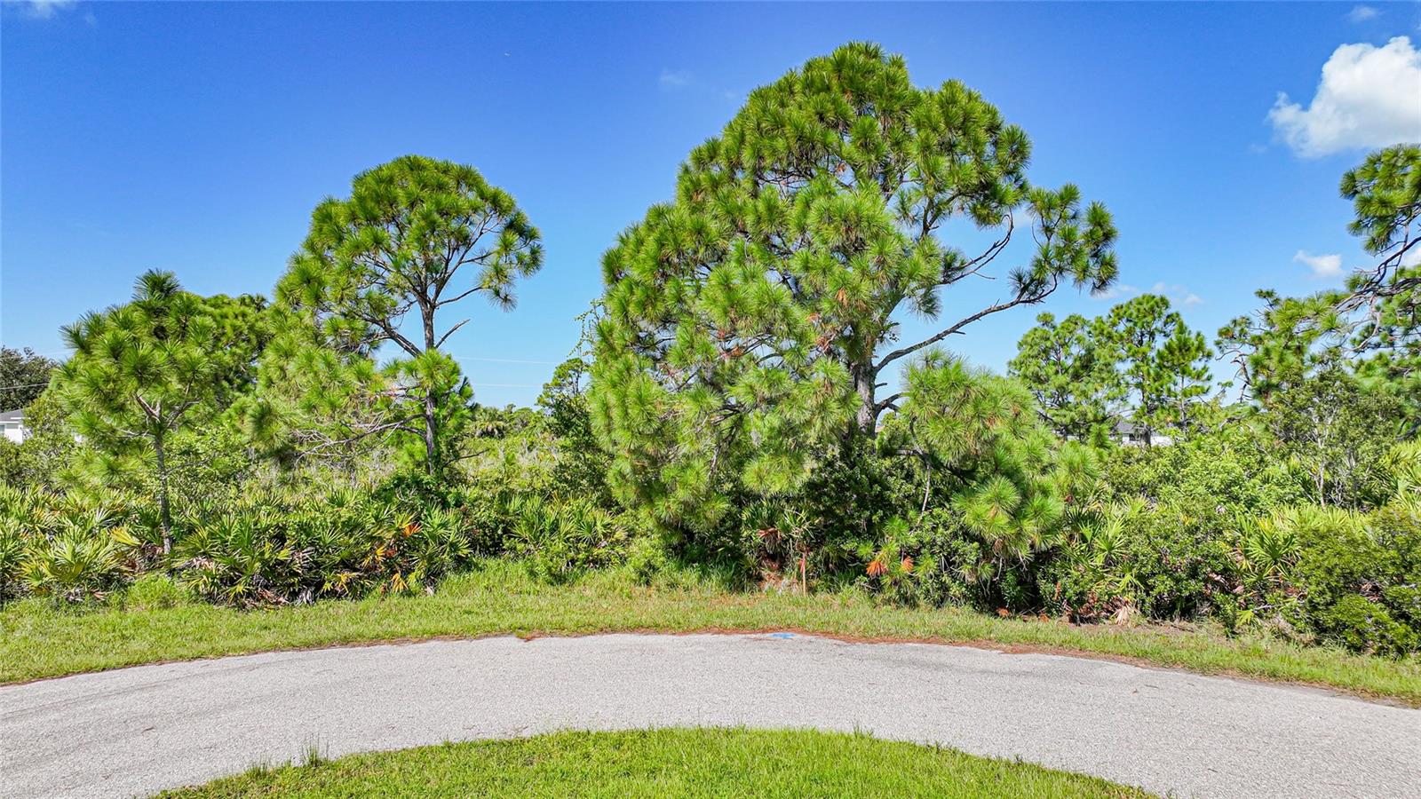 12 DOG CT, PLACIDA, FL, 33946