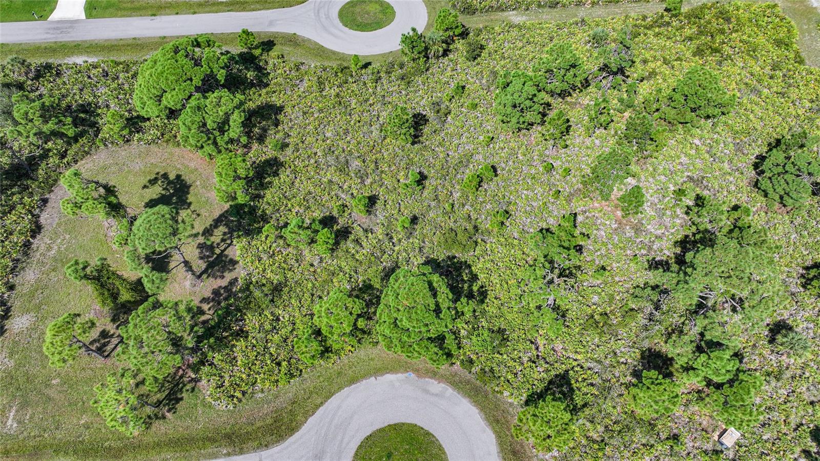 12 DOG CT, PLACIDA, FL, 33946