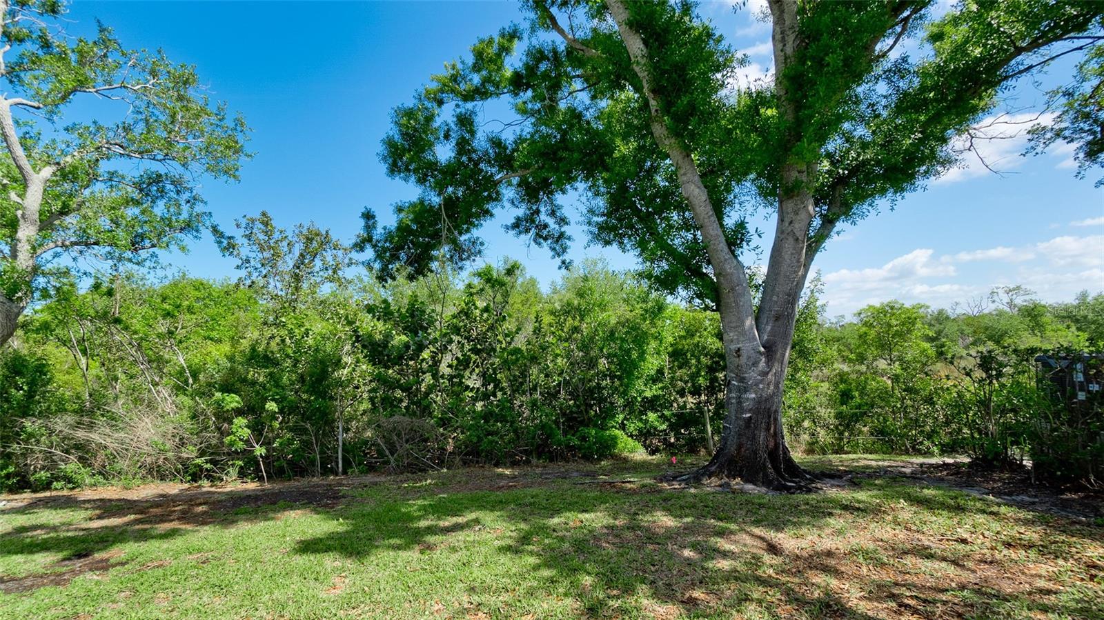 11223 SANCTUARY DR, BRADENTON, FL, 34209