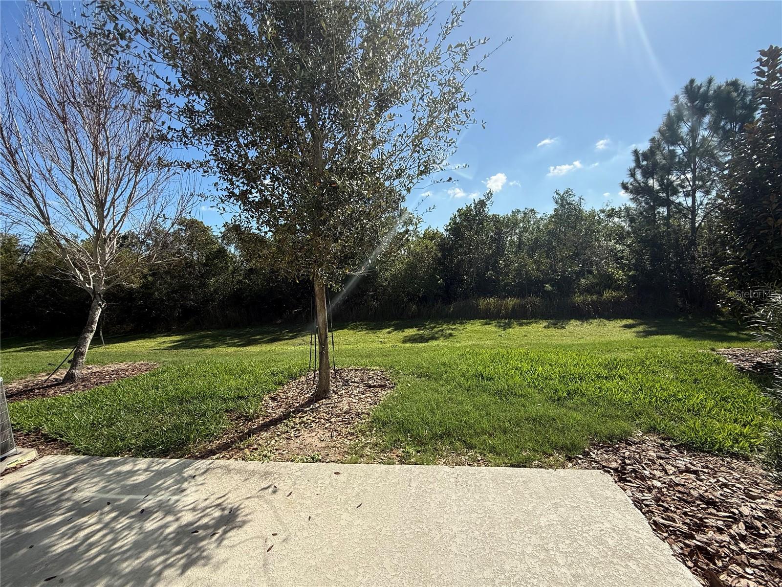 FESTIVAL PH 4, DAVENPORT, FL, 33896