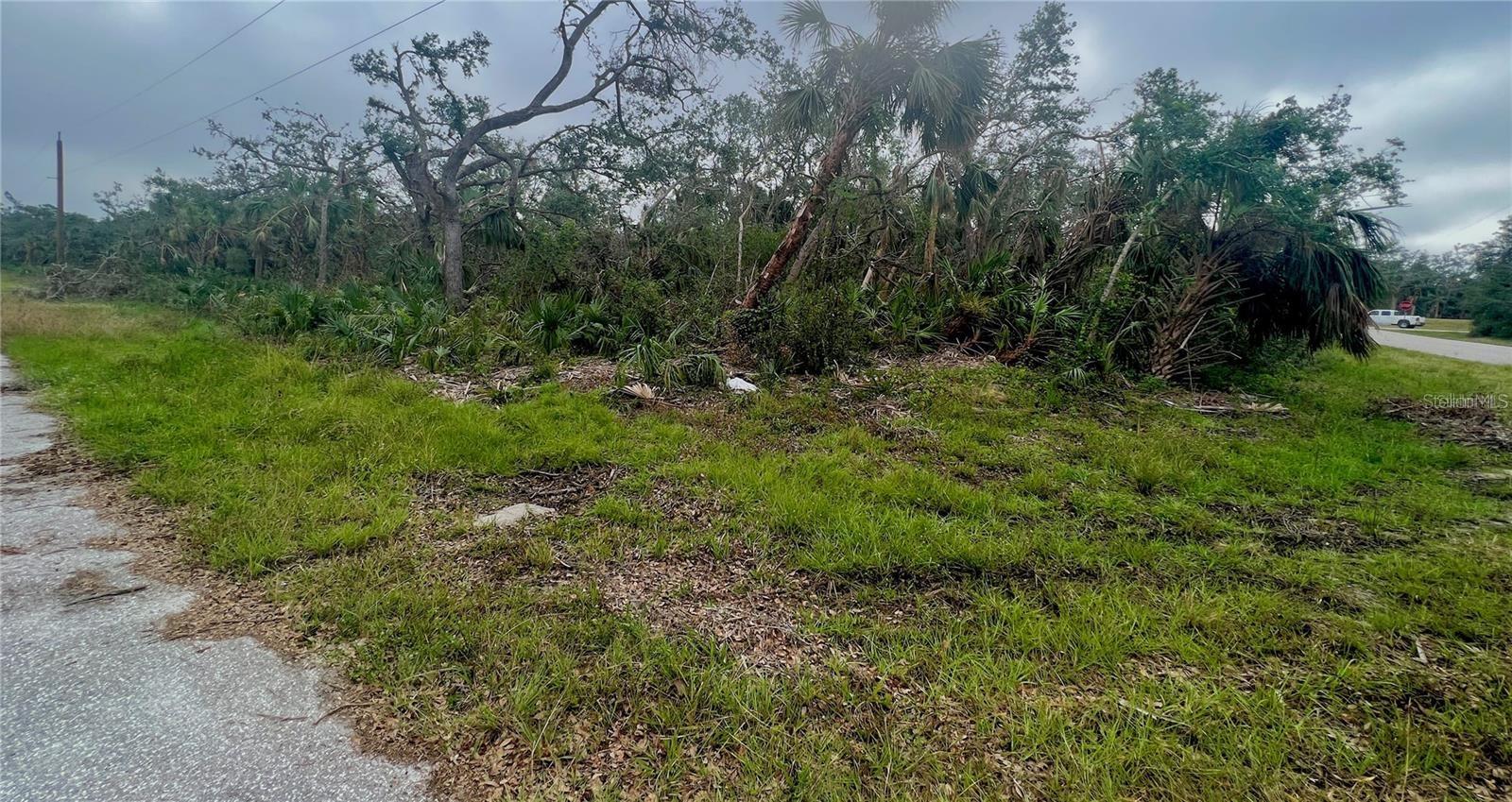 17073 CARLEEN AVE, PORT CHARLOTTE, FL, 33948