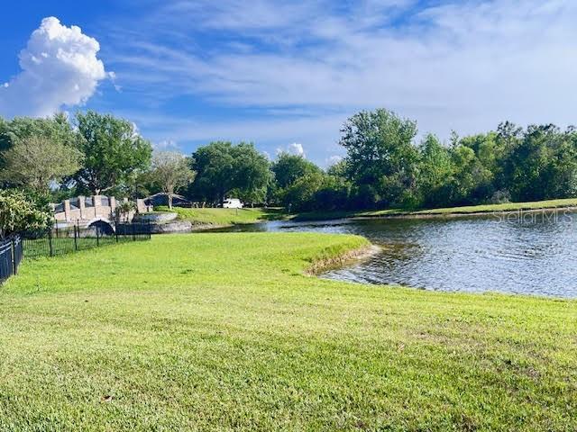 16313 BRIDGECROSSING DR, LITHIA, FL, 33547