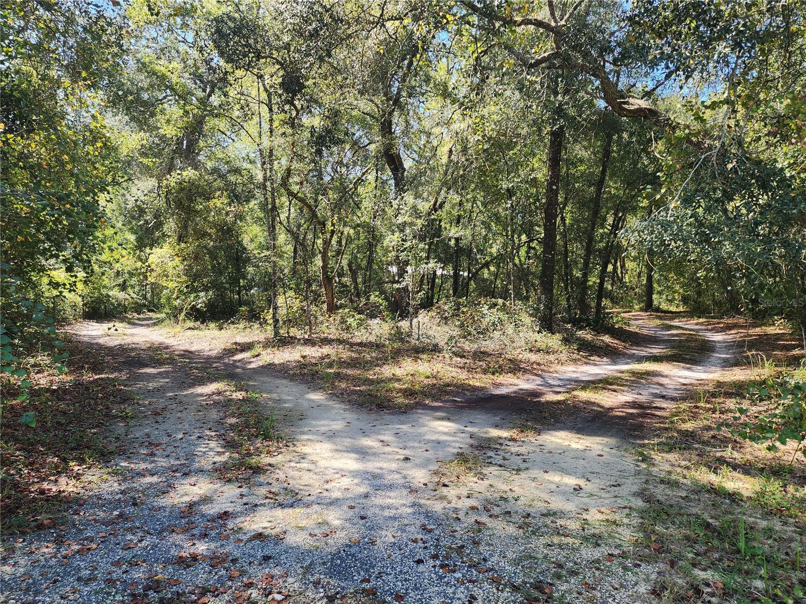 7910 NW 141ST ST, TRENTON, FL, 32693