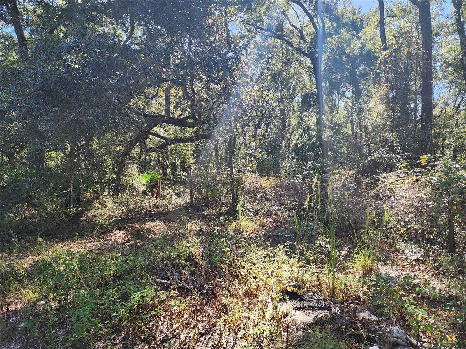 7910 NW 141ST ST, TRENTON, FL, 32693