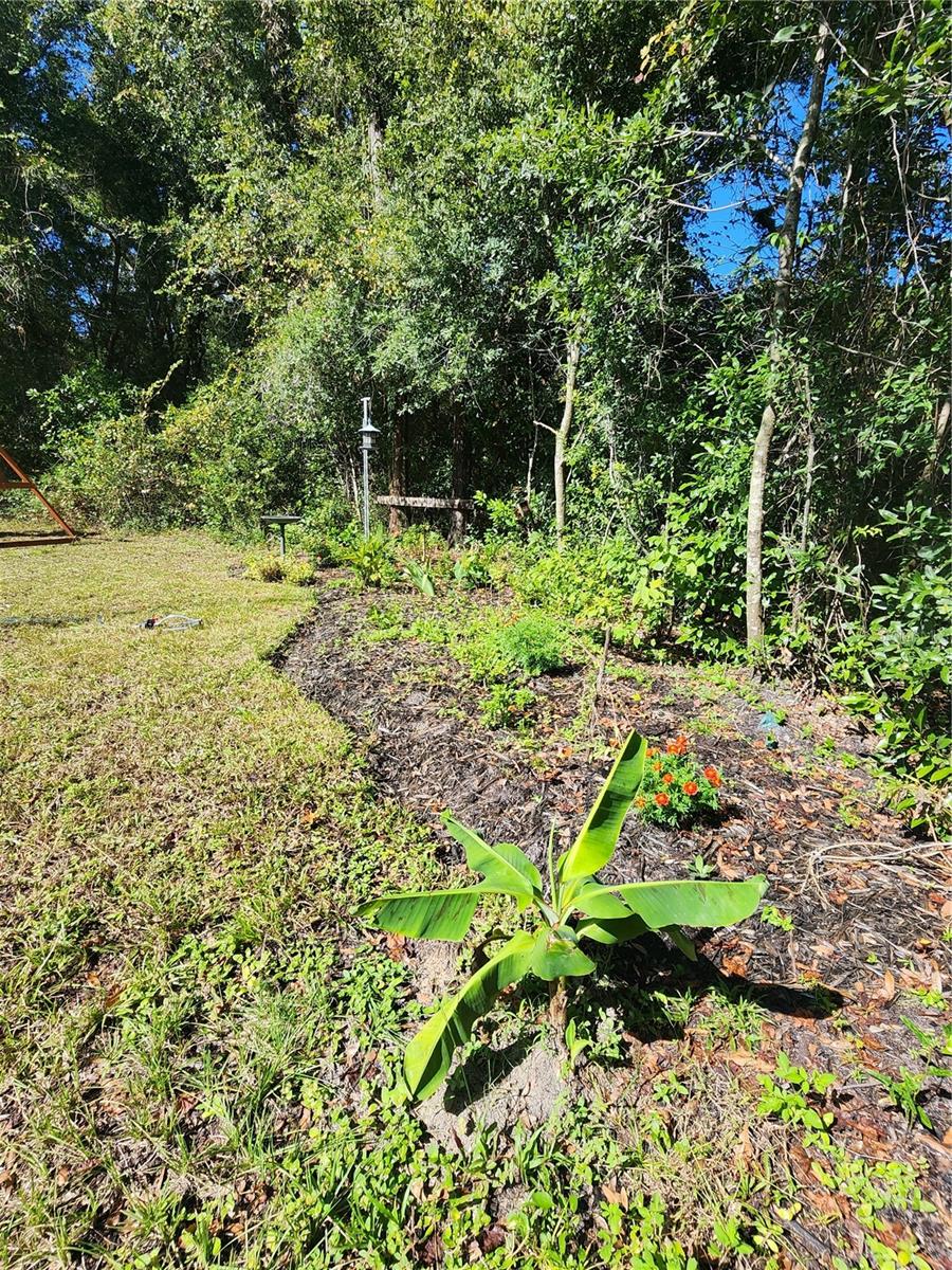 7910 NW 141ST ST, TRENTON, FL, 32693