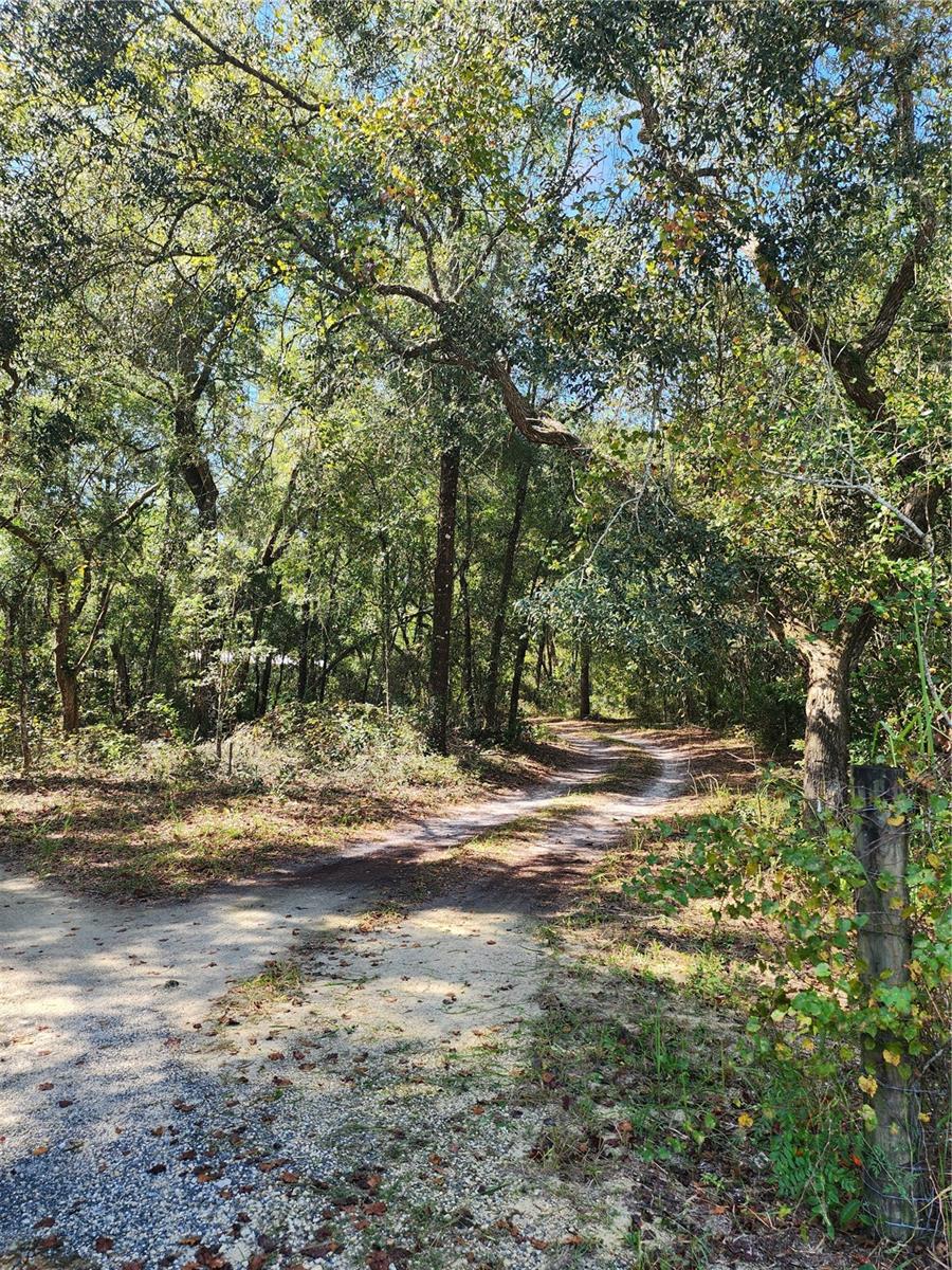 7910 NW 141ST ST, TRENTON, FL, 32693